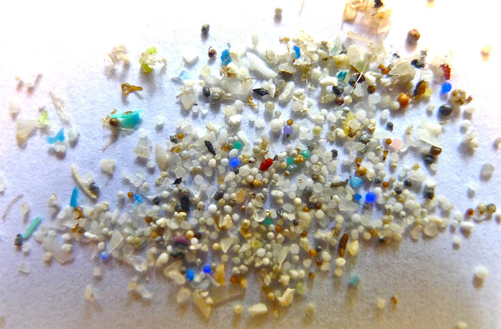 How is micro plastic affecting our bloodstreams?